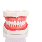 healthy teeth and gums